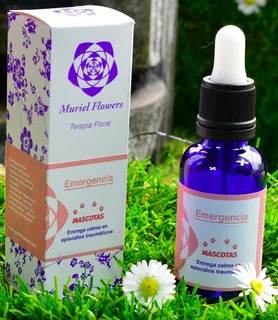 Envase de Jabon glicerina coco x 1 lt