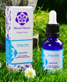 Envase de Melena de león x 60 caps